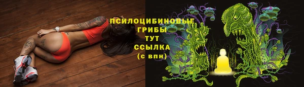 мдпв Володарск