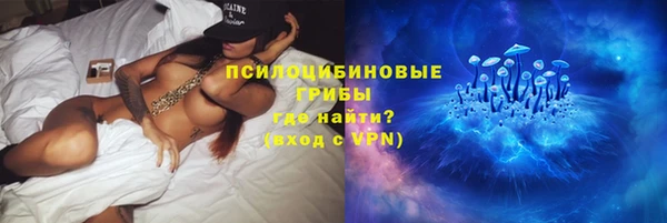 стаф Волосово