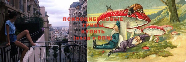 стаф Волосово