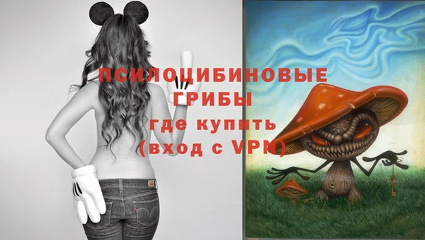 мдпв Володарск